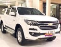 Chevrolet Colorado   2016 - Bán Chevrolet Colorado LT 2.5L 4x2 MT đời 2016, màu trắng, nhập khẩu  