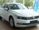 Volkswagen Passat 2018 - Cần bán nhanh chiếc xe Volkswagen Passat Bluemotion 2018, màu trắng, nhập khẩu nguyên chiếc