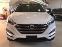 Hyundai Tucson 2.0 AT CRDi 2019 - Cần bán xe Hyundai Tucson 2.0AT Diesel sản xuất 2019, màu trắng