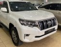 Toyota Prado VX 2019 - Bán Toyota Prado VX năm 2019, màu trắng, xe nhập như mới