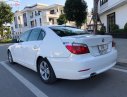 BMW 5 Series 523i 2009 - Bán BMW 5 Series 523i đời 2009, màu trắng, xe nhập