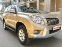 Toyota Prado   2010 - Bán Toyota Prado đời 2010, màu vàng, nhập khẩu chính hãng