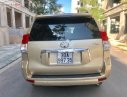 Toyota Prado   2010 - Bán Toyota Prado đời 2010, màu vàng, nhập khẩu chính hãng