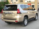 Toyota Prado   2013 - Bán xe Toyota Prado 2013, màu vàng, xe nhập chính hãng