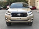 Toyota Prado   2013 - Bán xe Toyota Prado 2013, màu vàng, xe nhập chính hãng