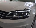 Volkswagen Polo   2018 - Bán Volkswagen Polo 1.6AT năm 2018, màu trắng, nhập khẩu 