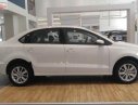 Volkswagen Polo   2018 - Bán Volkswagen Polo 1.6AT năm 2018, màu trắng, nhập khẩu 