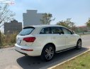 Audi Q7 2009 - Bán Audi Q7 2009, màu trắng, nhập khẩu, giá chỉ 699 triệu