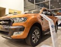 Ford Ranger Wildtrak 2019 - Ford Ford Ranger Wildtrak 2.0 Bi-Turbo năm 2019 Siêu giảm giá - Nhận quà liền tay - Có xe giao tận nhà