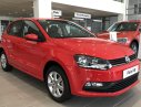 Volkswagen Polo HB 2018 - Volkswage Polo Hatchback 1.6AT - Giảm giá sốc - Có xe ngay - Giao nhanh toàn quốc