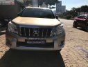 Toyota Prado   2010 - Cần bán Toyota Prado 2010, nhập khẩu chính hãng