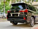 Lexus LX   2015 - Bán xe cũ Lexus LX 570 2015, màu đen, xe nhập