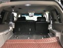 Honda Pilot 2010 - Bán xe Honda Pilot 2010, màu đen, nhập khẩu chính hãng
