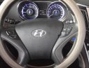 Hyundai Sonata 2010 - Bán Hyundai Sonata đời 2010, màu bạc, nhập khẩu chính hãng