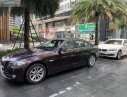 BMW 5 Series 2012 - Cần bán lại xe BMW 5 Series 520i năm sản xuất 2012, màu đỏ, xe nhập ít sử dụng, giá 980tr