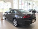 Volkswagen Passat 2017 - Bán gấp chiếc Volkswagen Passat 2018, màu nâu - Xe nhập khẩu nguyên chiếc - Tặng quà khủng