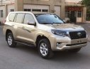 Toyota Prado TXL 2.7L 2013 - Cần bán xe Toyota Prado TXL 2.7L năm sản xuất 2013, màu vàng, xe nhập