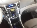 Hyundai Sonata 2010 - Bán Hyundai Sonata đời 2010, màu bạc, nhập khẩu chính hãng