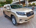 Toyota Prado   2013 - Cần bán Toyota Prado năm sản xuất 2013, màu vàng, xe nhập chính hãng