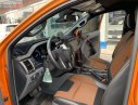 Ford Ranger 2017 - Cần bán gấp Ford Ranger năm 2017, nhập khẩu giá cạnh tranh