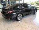 Lexus ES 2019 - Bán nhanh chiếc xe hạng sang  Lexus ES  250, đời 2019, màu đen, nhập khẩu nguyên chiếc