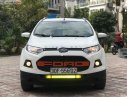 Ford EcoSport Titanium  2015 - Cần bán lại xe cũ Ford EcoSport Titanium đời 2015, màu trắng