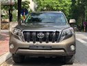 Toyota Prado   2013 - Cần bán xe Toyota Prado TXL 2.7L sản xuất 2013, màu xám, nhập khẩu