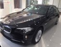 BMW 5 Series 2015 - Bán BMW 520i sản xuất năm 2015, màu xám tro, xe nhập