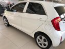 Kia Morning EX 2016 - Bán Kia Morning EX năm 2016, màu trắng