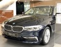 BMW 5 Series 2019 - Ưu đãi lớn đón tết chiếc xe BMW 530i 2.0L 8AT, đời 2019, màu đen - Có sẵn xe - Giao nhanh tận nhà