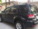 Ford Escape 2008 - Bán xe Ford Escape sản xuất năm 2008, màu đen