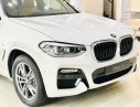 BMW X3 2019 - Ưu đãi đến 75 triệu đồng khi mua chiếc BMW X3 xDrive20i, đời 2019, màu trắng, nhập khẩu