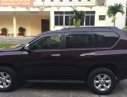 Toyota Prado 2009 - Bán xe Toyota Prado sản xuất 2009 chính chủ