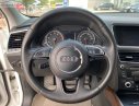 Audi Q5 2.0 AT 2014 - Xe Audi Q5 2.0 AT năm sản xuất 2014, màu trắng, nhập khẩu nguyên chiếc chính chủ