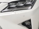 Lexus RX 200T 2017 - Xe Lexus RX 200T sản xuất năm 2017, màu trắng, nhập khẩu nguyên chiếc xe gia đình