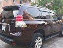 Toyota Prado 2009 - Cần bán xe Toyota Prado 2.7 AT đời 2009