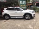 Hyundai Tucson   2018 - Bán Hyundai Tucson 2.0 2018, màu trắng, nhập khẩu 