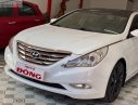 Hyundai Sonata   2010 - Bán Hyundai Sonata 2.0 AT 2010, màu trắng, nhập khẩu 