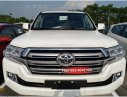Toyota Land Cruiser 2019 - Ưu đãi sốc - Giảm giá sâu - Tặng phụ kiện chính hãng khi mua chiếc xe Toyota Land Cruiser sản xuất 2019, màu trắng, nhập khẩu