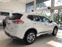 Nissan X trail 2019 - Cần bán Nissan X trail đời 2019, màu trắng, giá tốt