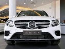 Mercedes-Benz GLC-Class  300 2019 - Mercedes-Benz GLC300 2020 - hỗ trợ Bank 80%, LH: 07 08 09 1779