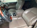 Lexus GX   2010 - Bán xe Lexus GX 460 sản xuất năm 2010, màu trắng, nhập khẩu 