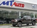 Ford F 150 2019 - Bán nhanh chiếc xe bán tải hạng sang Ford F 150 Harley Davidson 5.0, sản xuất 2019, màu đen, nhập khẩu