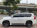 Lexus GX   2010 - Bán xe Lexus GX 460 sản xuất năm 2010, màu trắng, nhập khẩu 