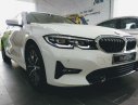 BMW 3 Series 330i Sport Line 2019 - Bán gấp chiếc xe BMW 3 Series 330i Sport Line năm 2019, màu trắng, nhập khẩu nguyên chiếc