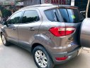 Ford EcoSport 2015 - Cần bán xe Ford EcoSport đời 2015, màu nâu