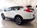 Honda CR V   2019 - Bán Honda CR V đời 2019, nhập khẩu nguyên chiếc