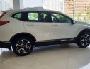 Honda CR V   2019 - Bán Honda CR V đời 2019, nhập khẩu nguyên chiếc