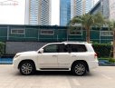 Lexus LX 2013 - Bán Lexus LX 570 sản xuất 2013, màu trắng, nhập khẩu nguyên chiếc