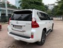 Lexus GX   2010 - Bán xe Lexus GX 460 sản xuất năm 2010, màu trắng, nhập khẩu 